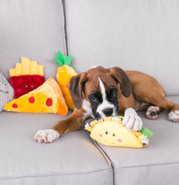 1639120204 Nomnomz Taco3 E1513122244143 Scaled 600x620 1.jpg