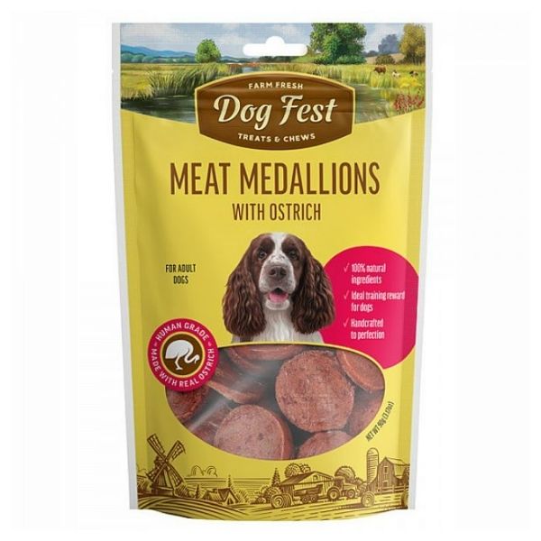 1642879241 דוג20פסט20מטבעות20יען.jpg