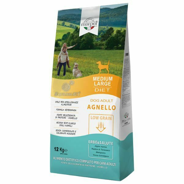 1652855610 אקוליבריה20כבש.jpg