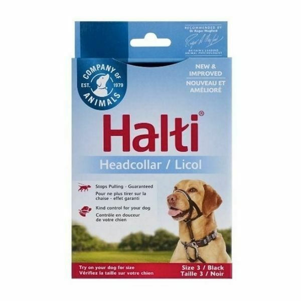 1657099415 האלטי.jpg