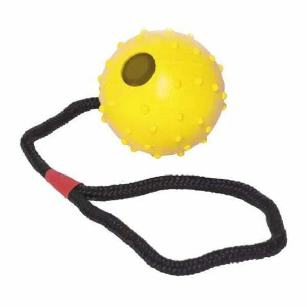 1659428064 כדור20קשיח20עם20חבל.jpg