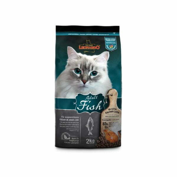 1665310242 לאונרדו20220קג20דגים.jpg