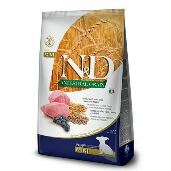 1667130898 Nd20גור20כבש.jpg