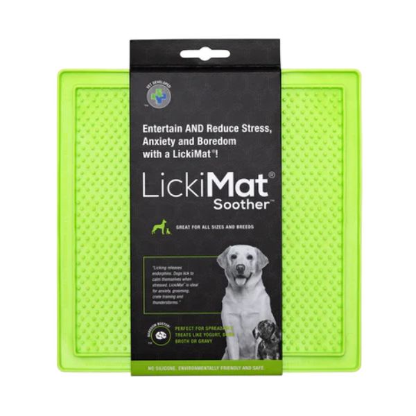 1674454843 1674028544 ליקי20ירוק201.jpg