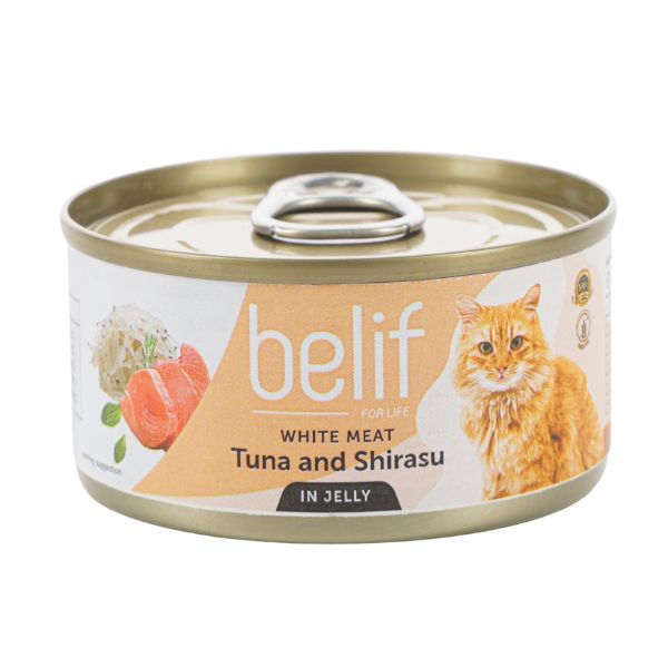 1683825291 טונה20ושירסו20בגלי.jpg