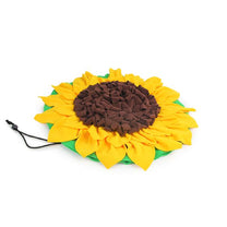 1684780841 משטח20רחרוח20חמניה201.jpg