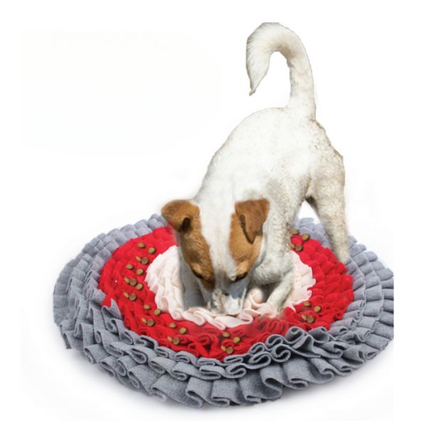 1684820545 פלאפי20עגולה.jpg