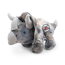 1684832249 דינוזאור20אפור201.jpg