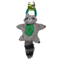 1684836066 סנאי20דביבון.jpg