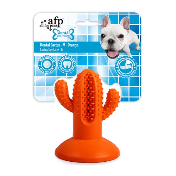 1684899952 קקטוס20מדיום.jpg