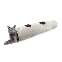 1685015028 מנהרה20חתול201.jpg