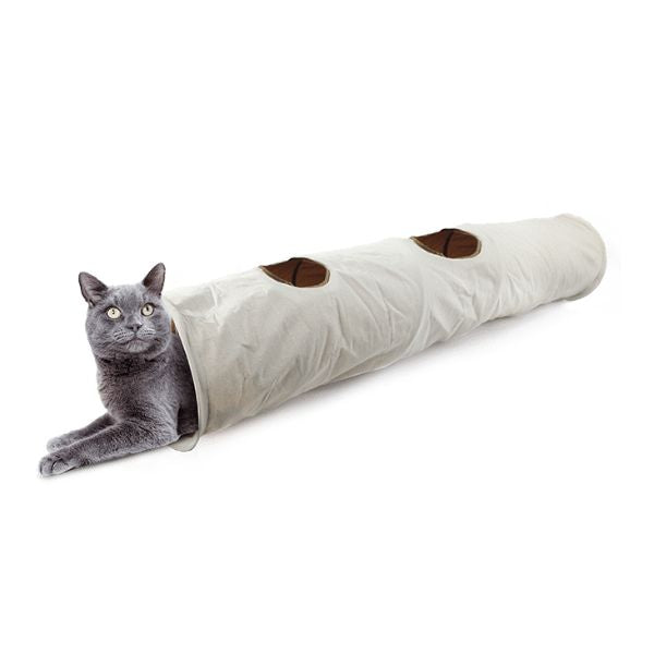 1685015028 מנהרה20חתול201.jpg