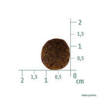 1694285917 גודל20כופתית.jpg