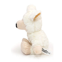 1700504711 גלוריה20כבשה201.jpg