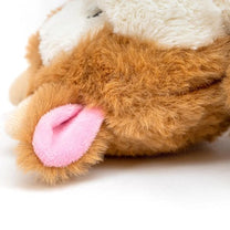 1701206408 גלוריה20פרה202.jpg