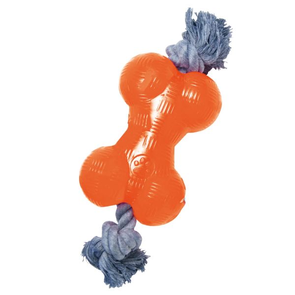 1702841631 גלוריה20עצם20נשיכה20גדולה201.jpg