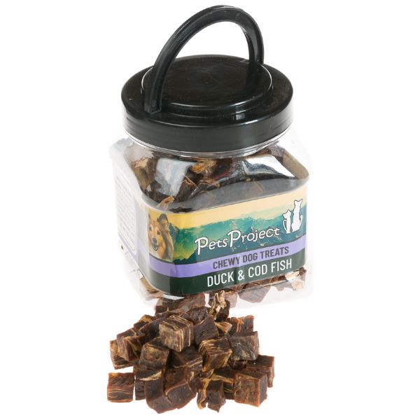 1704706163 ברווז20וקוד.jpg