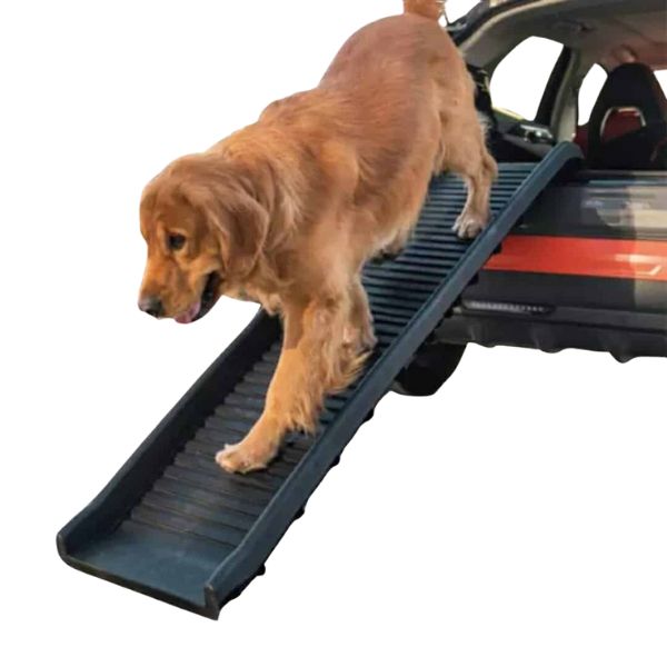 1706816734 רמםה.jpg