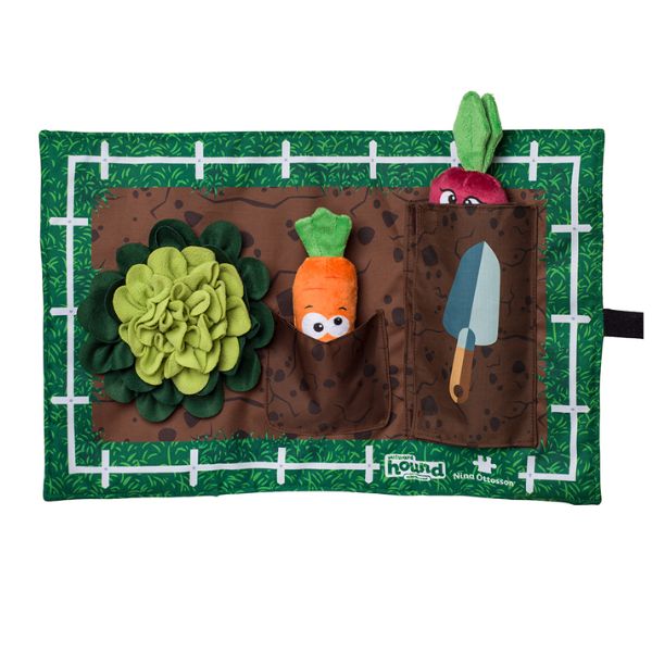 1707130548 משטח20הרחה20גינה.jpg