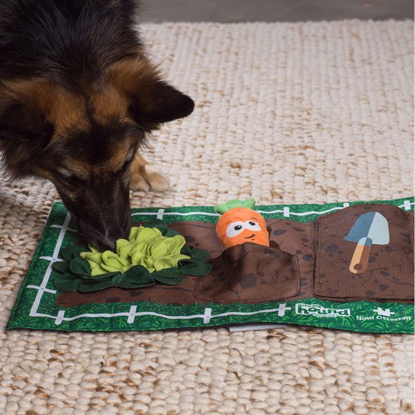 1707130548 משטח20הרחה20גינה201.jpg