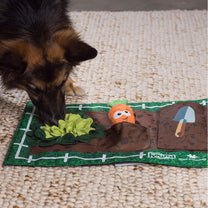 1707130548 משטח20הרחה20גינה201.jpg