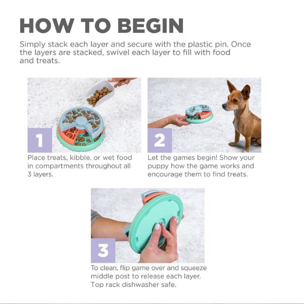 1707131308 צלחת20האכלה20קומות20לגורים203.jpg