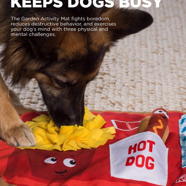 1707763910 משטח20רחרוח20נינה201.jpg