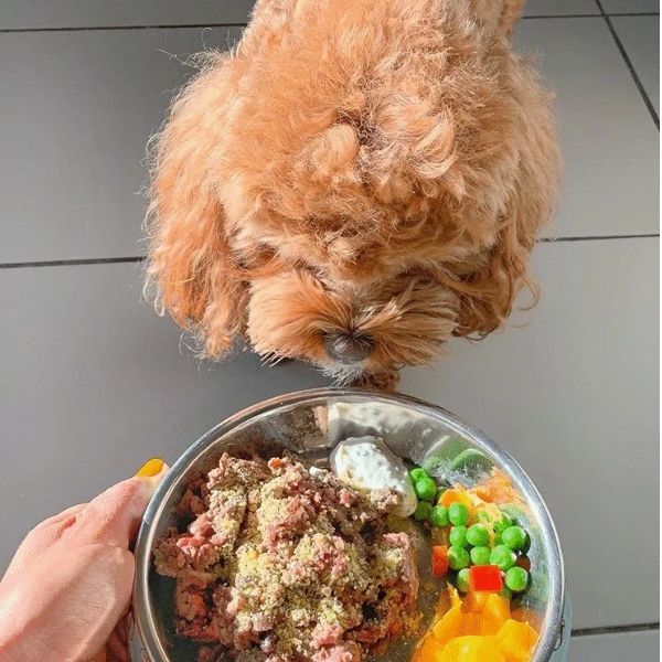 1708518352 אבקת20חלב20יאק201.jpg