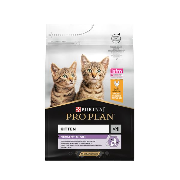 1712164479 פרופלאן20גורים.jpg