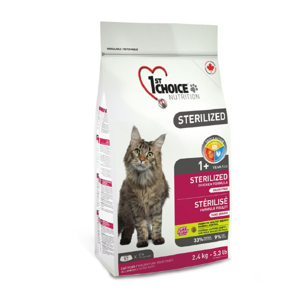 1716376856 Untitled20design202.png