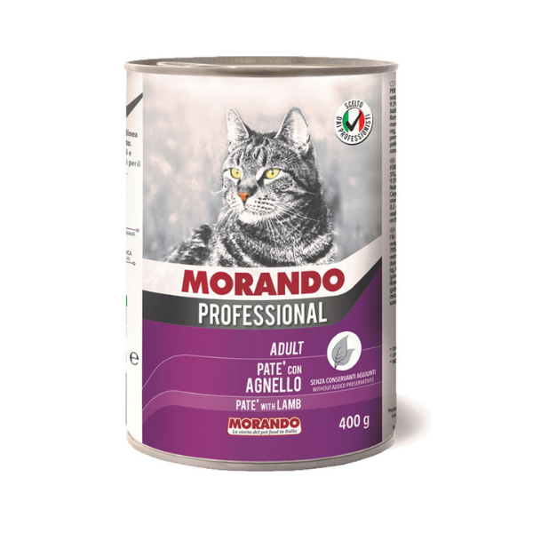 1717330831 אקאנה20ויילד20קוסט203.png