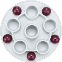 1719172918 פנטגון202.jpg