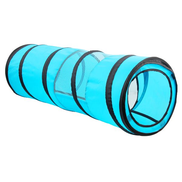 1720340368 מנהרה20לחתול.jpg