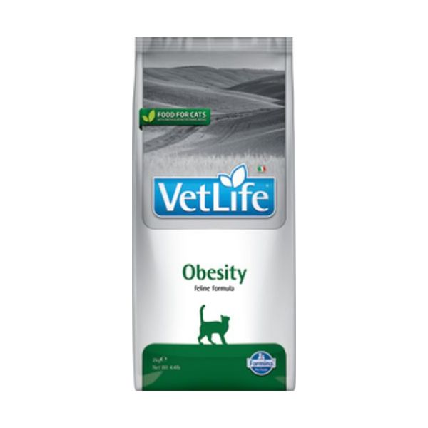 1720982248 וט20לייף20אובסטי.jpg