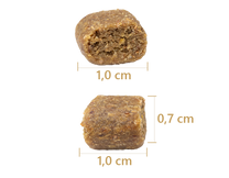 1729620804 Velikost Granule Adult.png