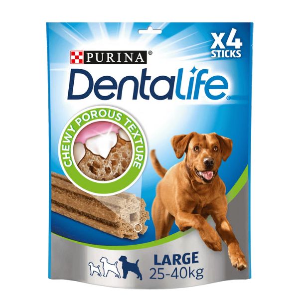 1739301345 דנטלייף20גדול.jpg