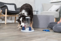 239057 Pho Pro Dog 32016 4 Copy.jpg