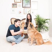4.23 Zippypaws 5127 Copy 600x600 1.jpg