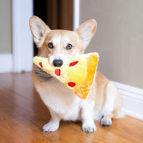Aquacorg Pizza.jpg