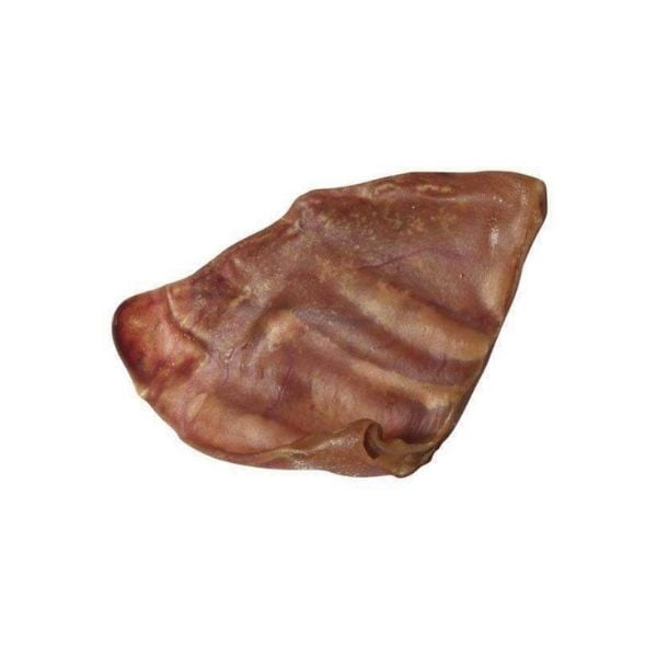 אוזן חזיר.jpg