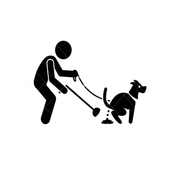 אוסף קקי המחשה.png