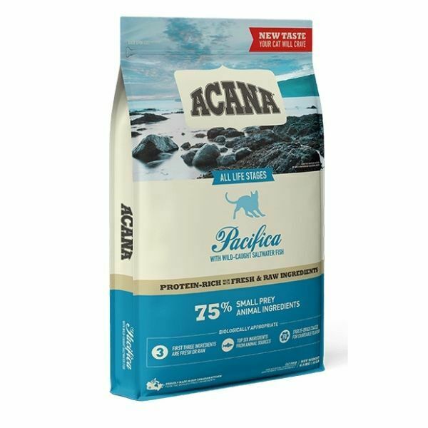 אקאנה פסיפיקה חתול