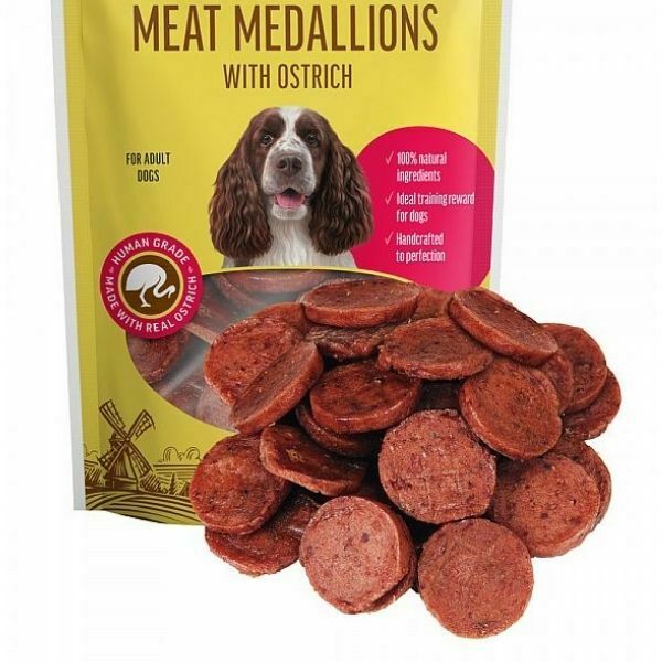 דוג פסט מטבעות יען (1)