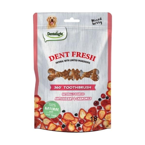 דנטפרש 360.jpg