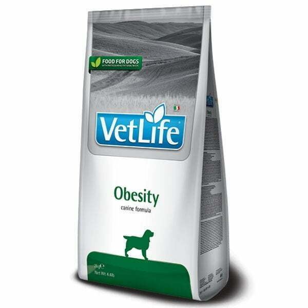 וט לייף אוביסטי 1.jpg