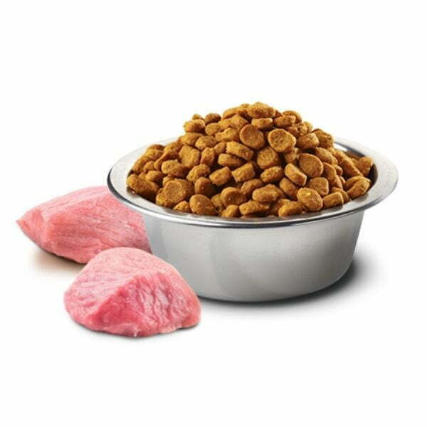 כבש ואוכמניות 1.jpg