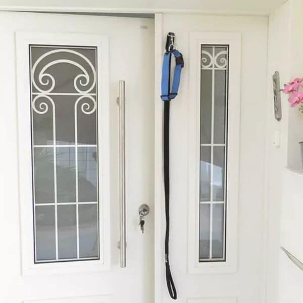 לונה פט מתלה.jpg