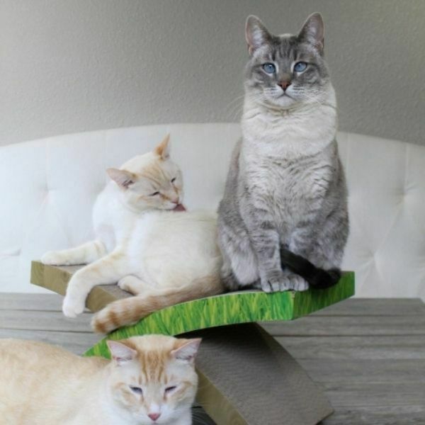 משטח גירוד (1)