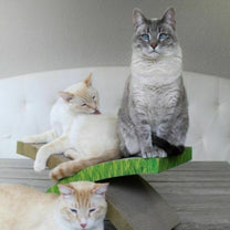 משטח גירוד (1)