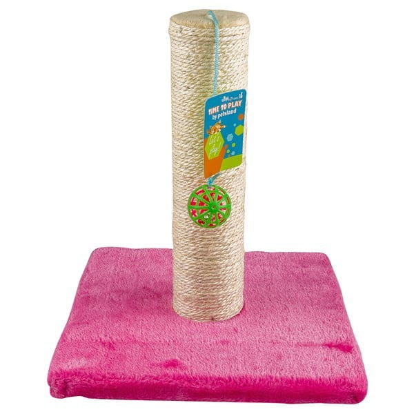 פטס פרוגקט ורוד.jpg